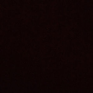 Meet your Posher, Anniesha